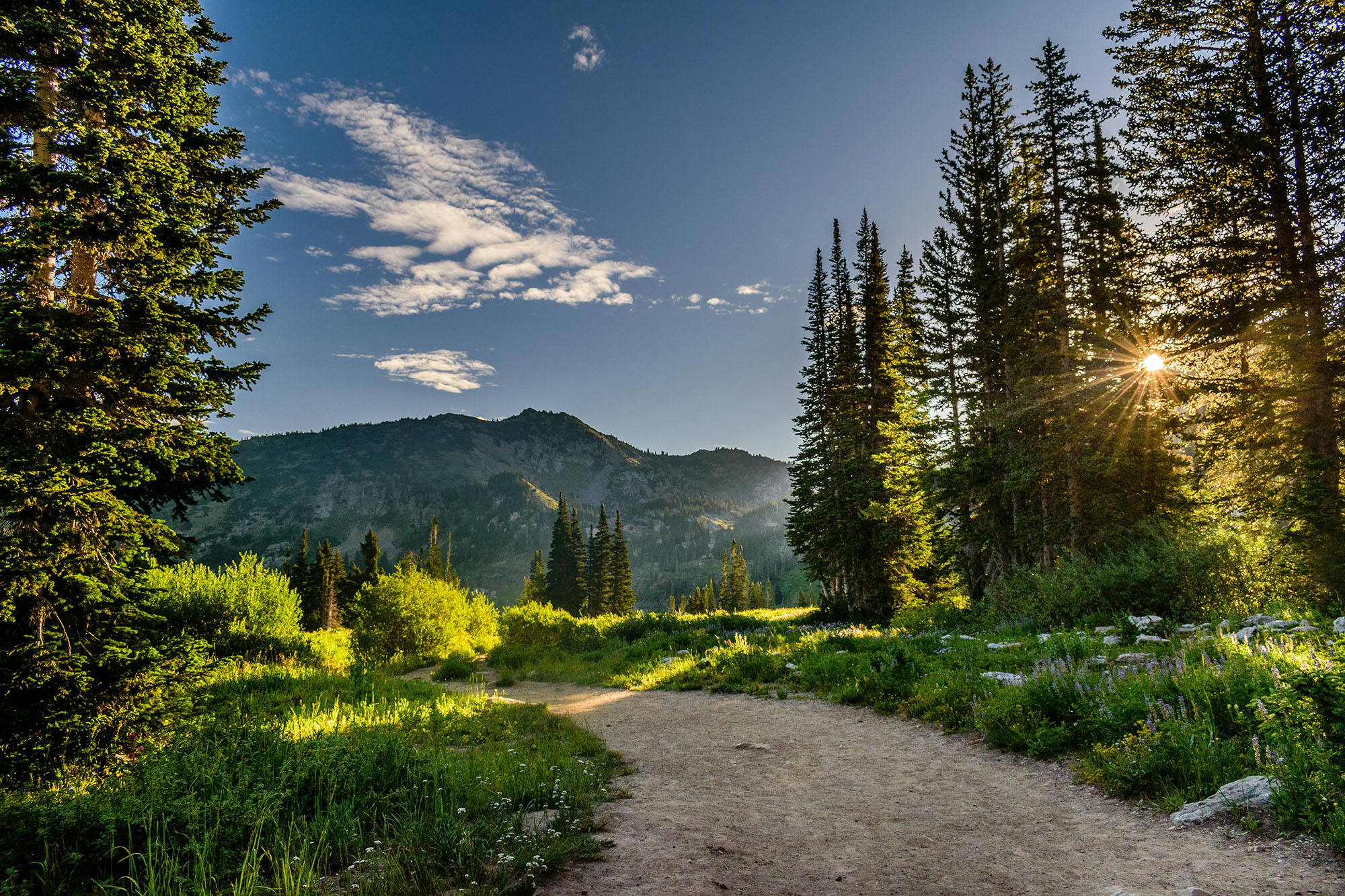 Highland_pexels-matthew-montrone